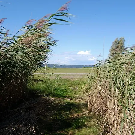 Ferienwohnung Am Bodstedter Bodden Saal