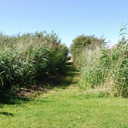 Lejlighed Ferienwohnung Am Bodstedter Bodden